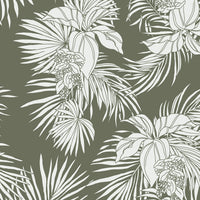 Dova Dress - COCONUT COVE - SKYE