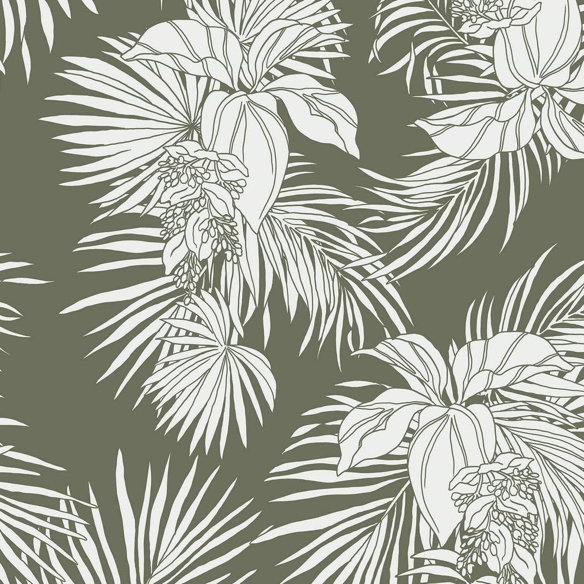 Dova Dress - COCONUT COVE