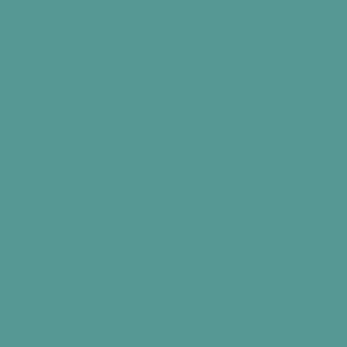 Bas Shirred Rachel - CELADON